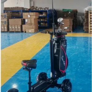 ESWING 2400W Electric Golf Scooter